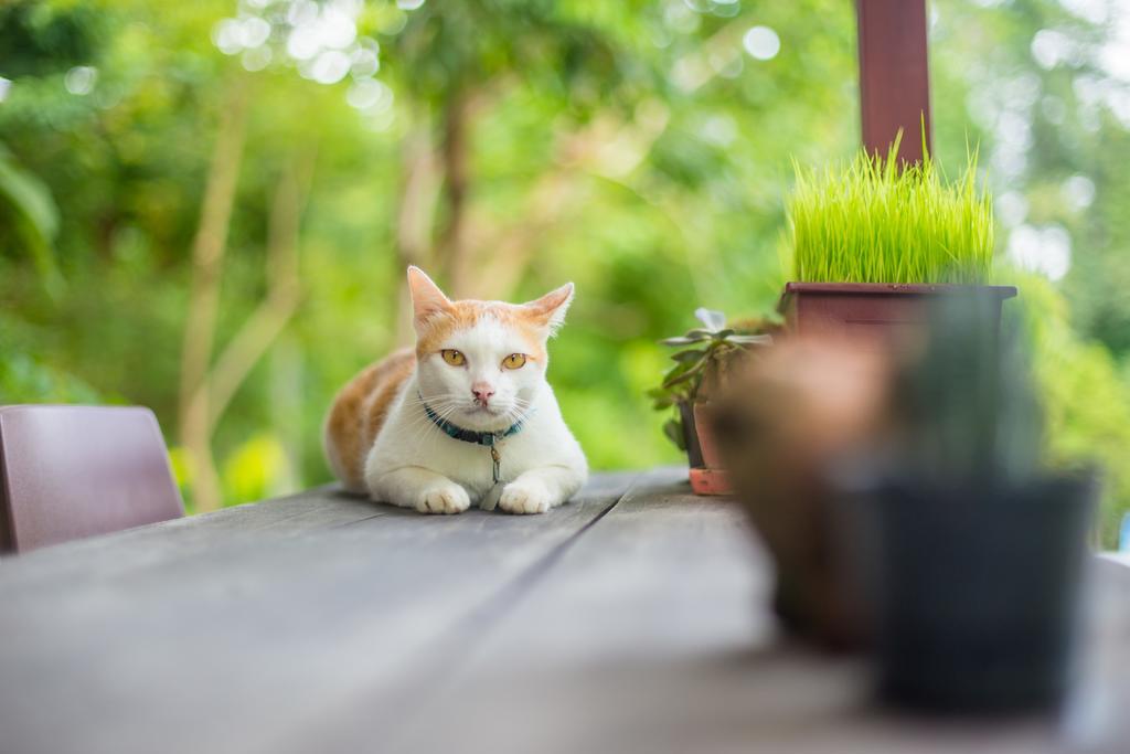 ホテル バーン カティ ソッド パーイ エクステリア 写真